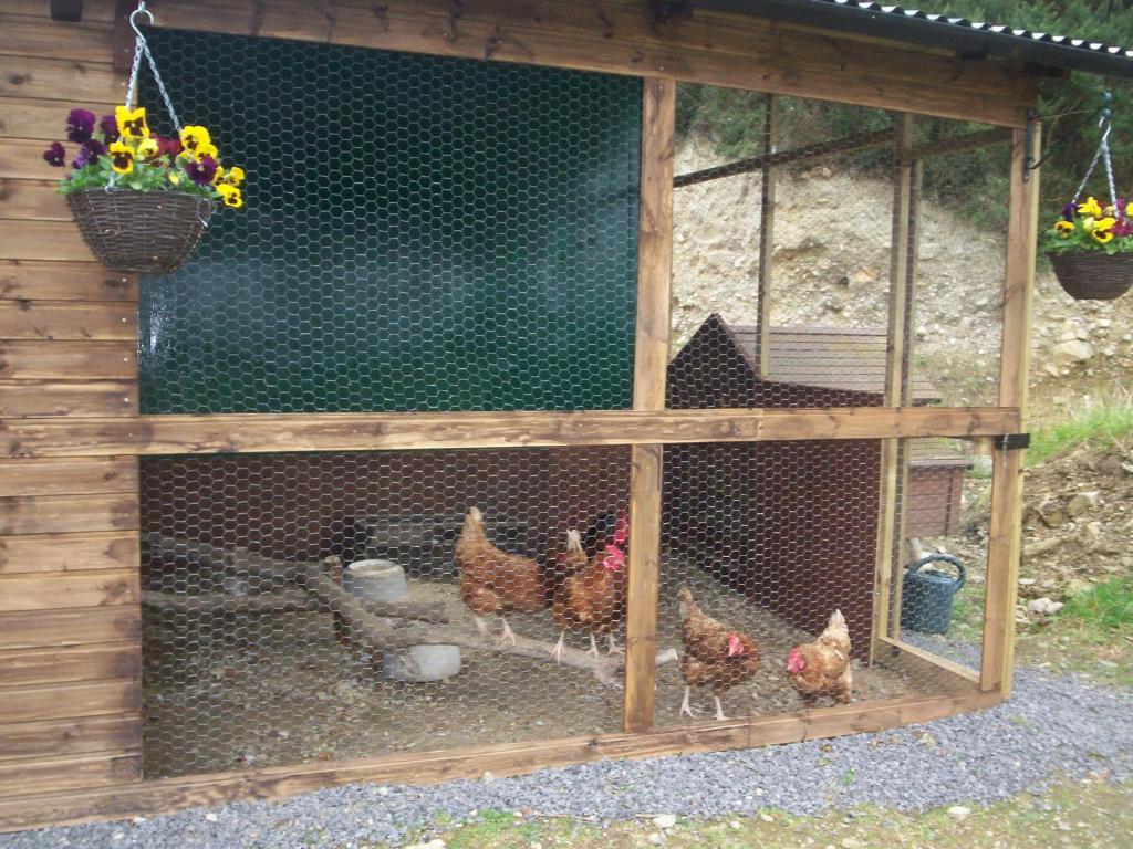 Bed & Breakfast Eagle's Nest 4*